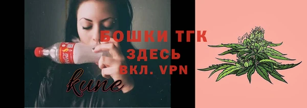 прущий лед Богородицк
