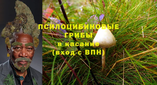 скорость Богданович