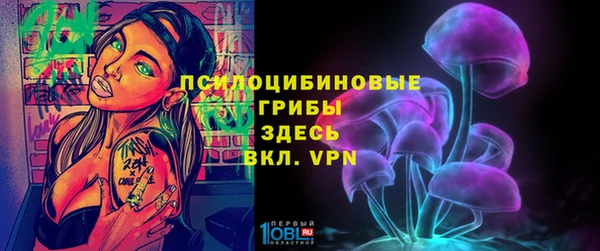 прущий лед Бородино